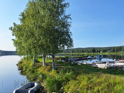 Burträsket