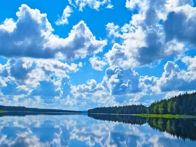 Vindelälven
