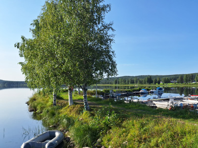 Burträsket