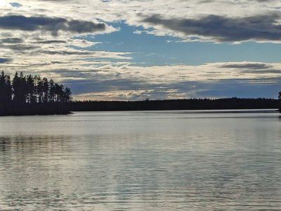 Tallträsket