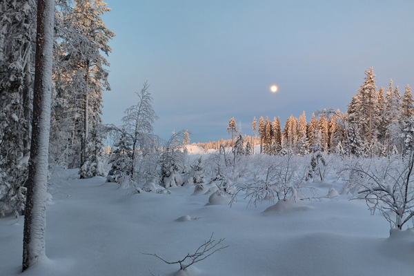 Eine verschneite Winterlandschaft