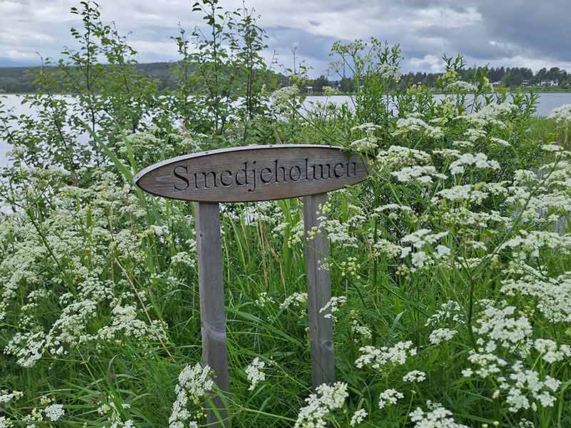 Die hölzerne Hängebrücke am Burträsket, umgeben von grüner Natur.