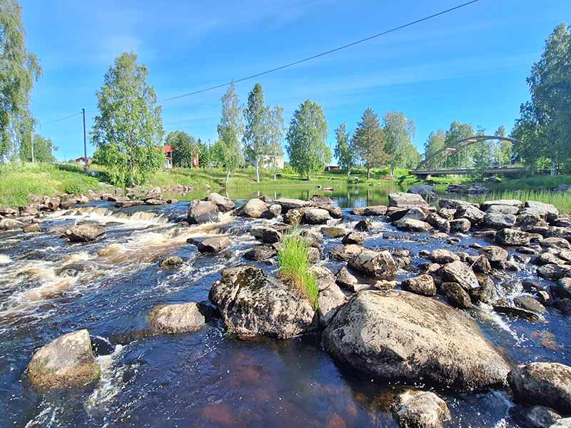 Vatten strömmar snabbt över stenar i en älvsträcka.
