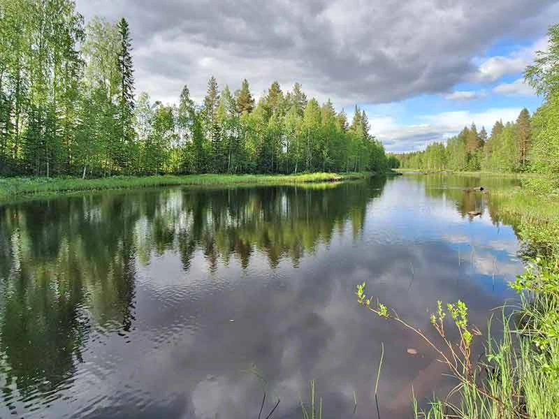 Eine weite, malerische Kurve des mäandrierenden Flusses Risån.