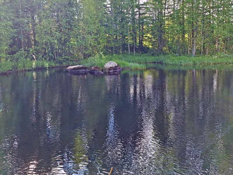 Ein tiefer, langsam fließender Pool am Risån, umgeben von Wald.