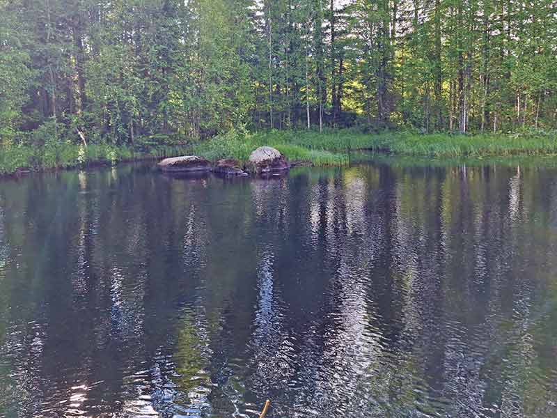 En djup, långsamt flytande pool i Risån, omgiven av skog.