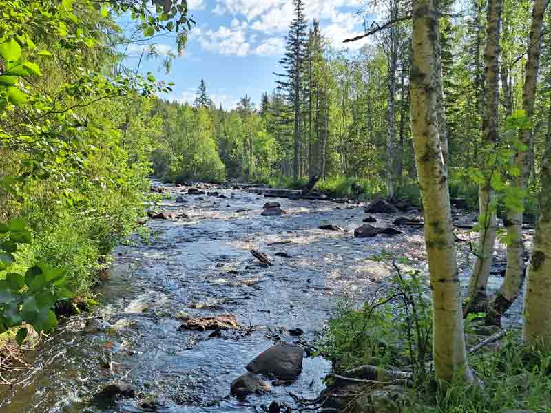 Die idyllische Stromschnelle Åbroforsen am Sikån.