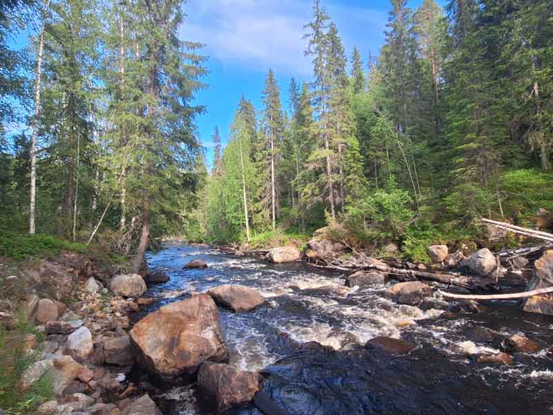 Die kraftvolle Dödmanforsen-Stromschnelle am Sikån.
