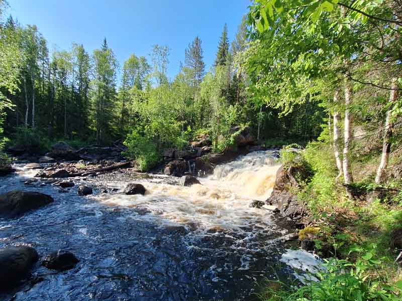 Die Stromschnelle Långmyrforsen, ein Hotspot für Angler.