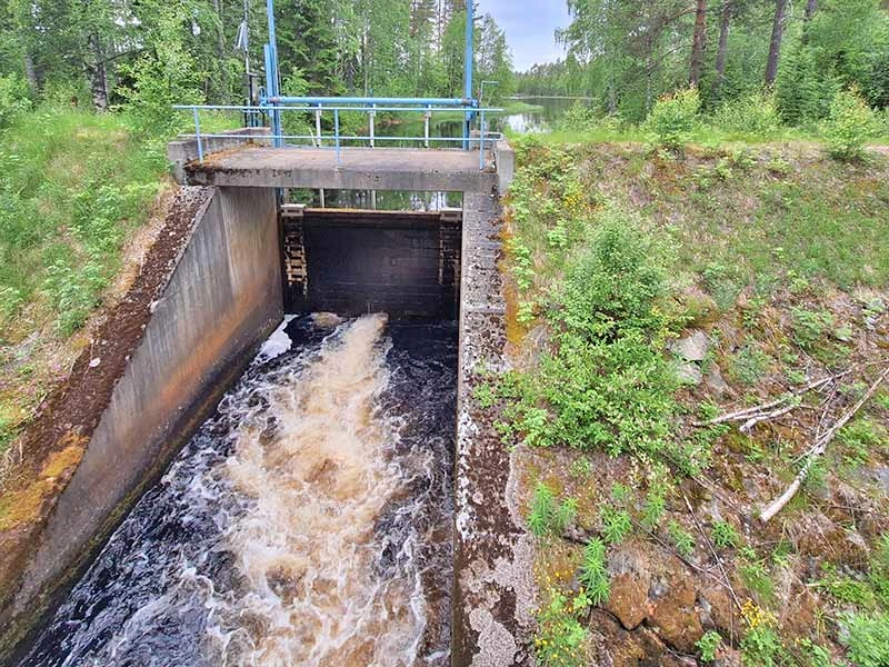 Der Auslauf des Tallträsket, wo der Fluss Tallån seinen Anfang nimmt.