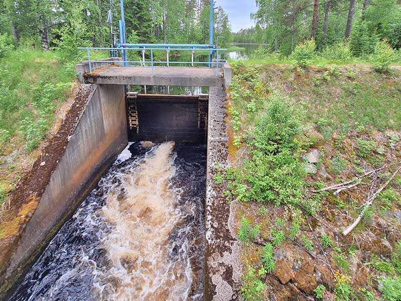Der Auslauf des Tallträsket, wo der Fluss Tallån seinen Anfang nimmt.