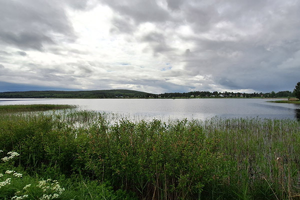 Blick auf den See Burträsket