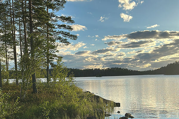 Idyllischer Waldsee Tallträsket