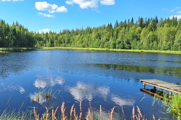 Ein ruhiger See umgeben von Wald